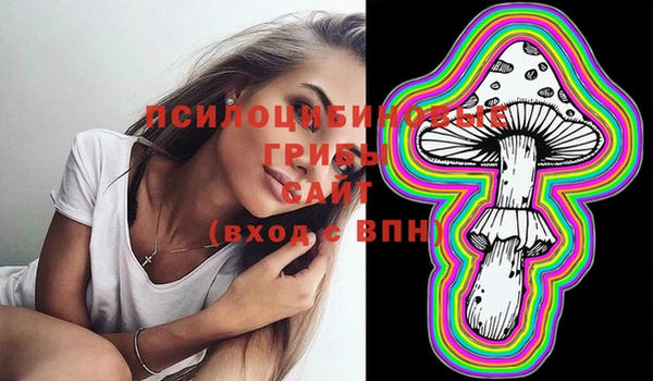 mdma Новозыбков